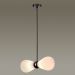 Подвесная люстра Odeon Light 5418/2