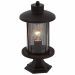 Светильник уличный наземный ST Luce SL080.405.01