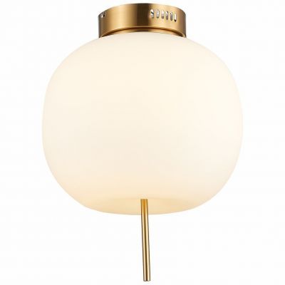 Светильник потолочный ST Luce SL1621.202.01