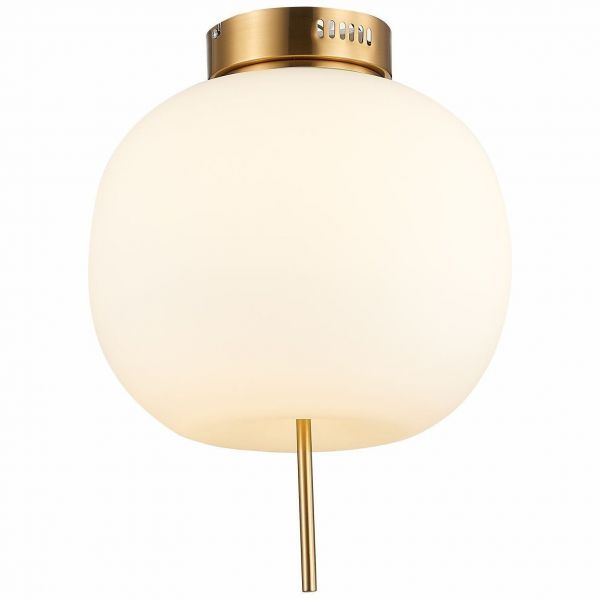 Светильник потолочный ST Luce SL1621.202.01
