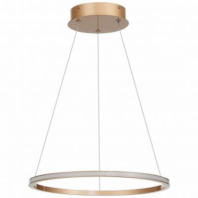 Подвесной светодиодный светильник ST Luce ST604.243.22
