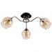 Потолочная люстра Arte Lamp Monica A3831PL-3AB