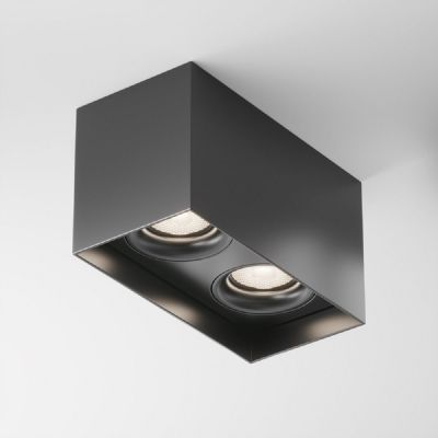 Потолочный светильник Maytoni Technical C015CL-02B