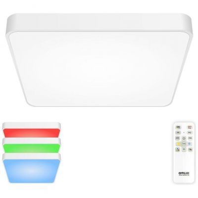 Светильник потолочный Citilux CL724K95G0