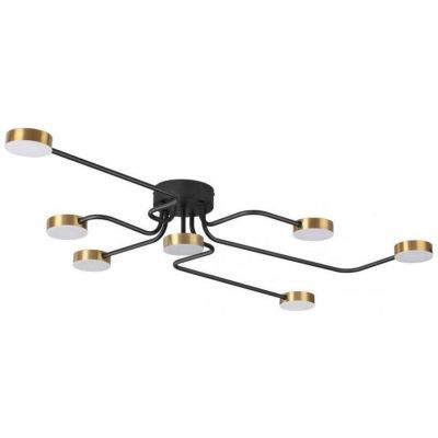Потолочная светодиодная люстра Lumion Ledio Flint 6532/99CL