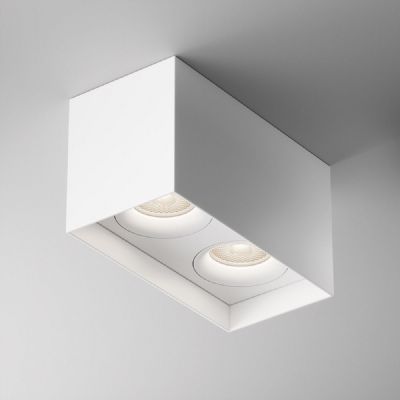 Потолочный светильник Maytoni Technical C015CL-02W