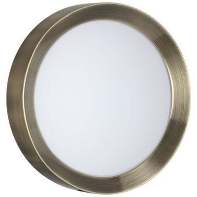 Настенный светодиодный светильник Odeon Light Lunor 4948/30CL
