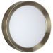 Настенный светодиодный светильник Odeon Light Lunor 4948/30CL