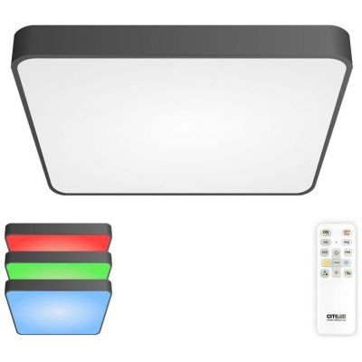 Светильник потолочный Citilux CL724K95G1
