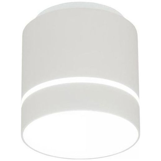 Потолочный светодиодный светильник Citilux CL745020N