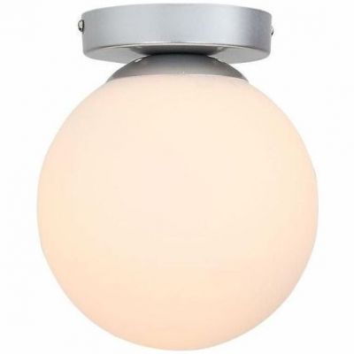 Настенно-потолочный светильник ST Luce SL717.201.01