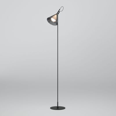 Напольный светильник со стеклянным плафоном Eurosvet 01187/1 черный