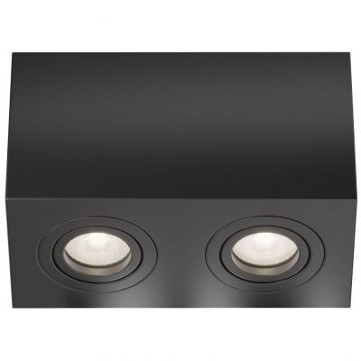 Потолочный светильник Maytoni Technical C017CL-02B