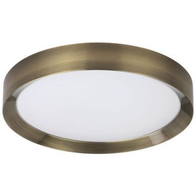 Потолочный светодиодный светильник Odeon Light Lunor 4948/45CL
