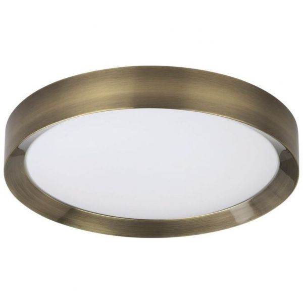 Потолочный светодиодный светильник Odeon Light Lunor 4948/45CL