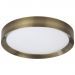Потолочный светодиодный светильник Odeon Light Lunor 4948/45CL