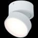 Светодиодный спот ST Luce ST651.532.14