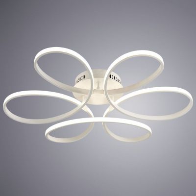 Потолочный светодиодный светильник Arte Lamp Diadema A2526PL-6WH