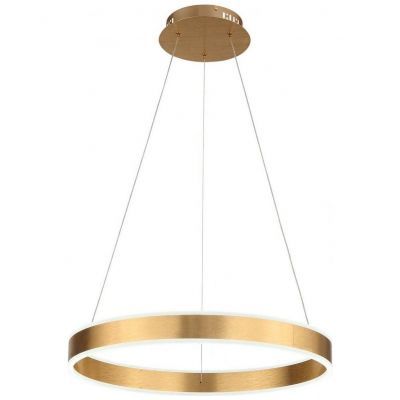 Подвесной светодиодный светильник ST Luce SL944.203.01