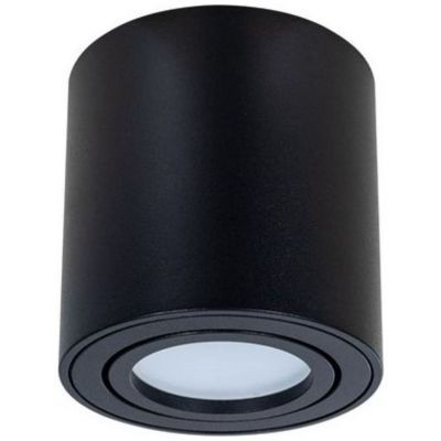Потолочный светильник Arte Lamp Beid A1513PL-1BK