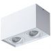 Потолочный светильник Arte Lamp Factor A5544PL-2WH
