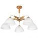 Потолочная люстра Arte Lamp Matthew A5032PL-5BR