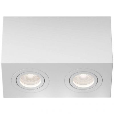 Потолочный светильник Maytoni Technical C017CL-02W