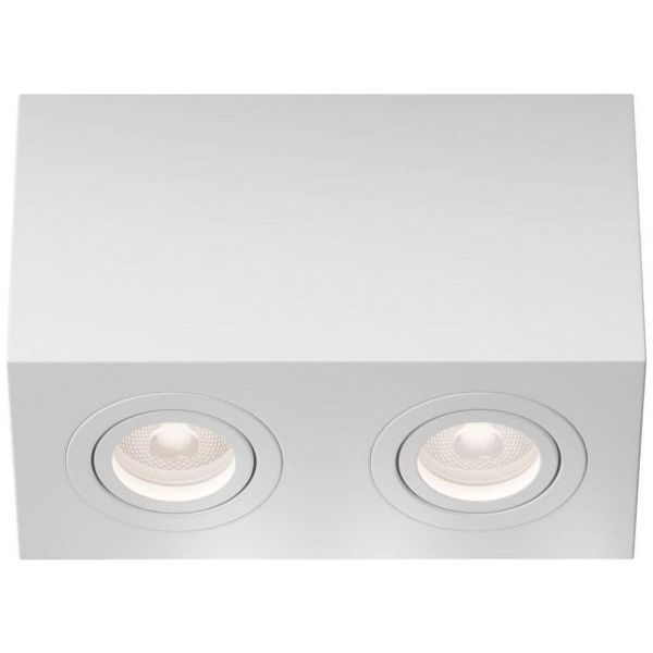 Потолочный светильник Maytoni Technical C017CL-02W