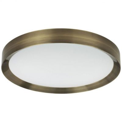 Потолочный светодиодный светильник Odeon Light Lunor 4948/60CL