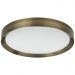 Потолочный светодиодный светильник Odeon Light Lunor 4948/60CL