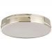 Потолочный светодиодный светильник F-Promo 2744-1C