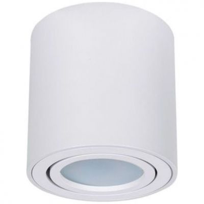 Потолочный светильник Arte Lamp Beid A1513PL-1WH