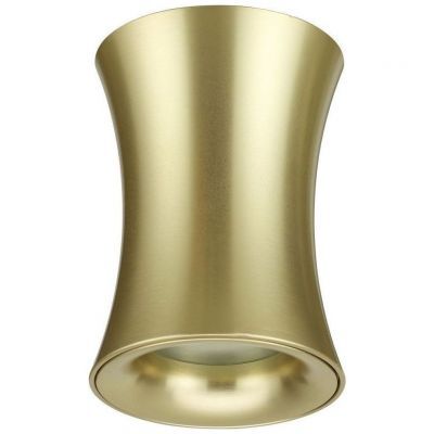 Потолочный светильник Odeon Light Zetta 4226/1C