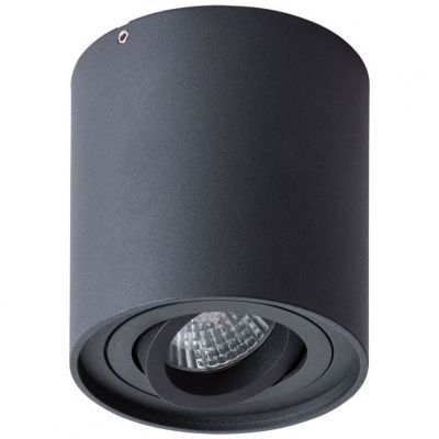 Потолочный светильник Arte Lamp Falcon A5645PL-1BK