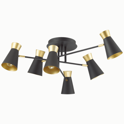 Потолочная люстра Lumion 3790/6C Liam