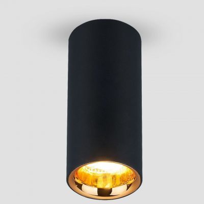 Светильник Elektrostandard DLR030 12W 4200K черный матовый/золото