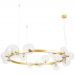Подвесная люстра Arte Lamp Vincent A7790SP-24GO