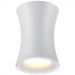 Потолочный светильник Odeon Light Zetta 4271/1C