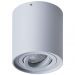 Потолочный светильник Arte Lamp Falcon A5645PL-1GY