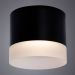 Потолочный светильник Arte Lamp Castor A5554PL-1BK
