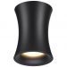 Потолочный светильник Odeon Light Zetta 4272/1C