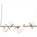 Подвесная люстра Freya Blossom FR5259PL-06BS
