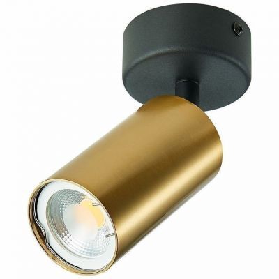 Спот ST Luce ST303.202.01