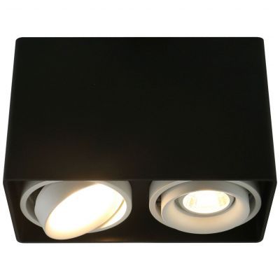 Светильник потолочный Arte Lamp A5655PL-2BK