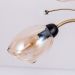 Потолочная люстра Citilux CL108155