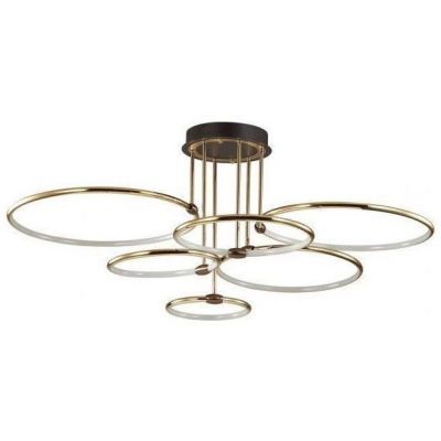 Потолочная светодиодная люстра Lumion 5283/99CL