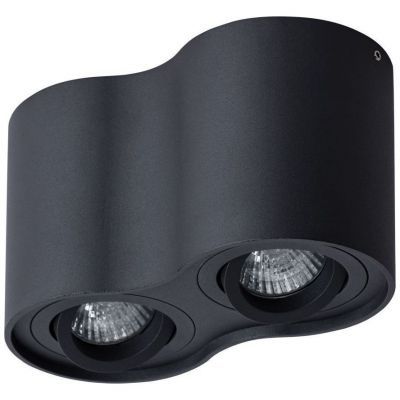 Потолочный светильник Arte Lamp Falcon A5645PL-2BK