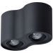 Потолочный светильник Arte Lamp Falcon A5645PL-2BK