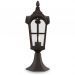 Ландшафтный светильник Maytoni Outdoor O413FL-01BZ