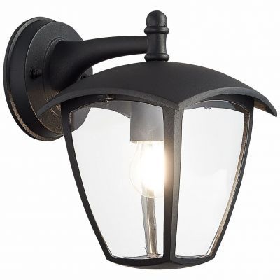 Светильник уличный настенный ST Luce SL081.411.01